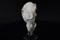 Calcite (UV) & Quartz - Lesotho (Large Cabinet; 16.5 x 7.5 x 6.4 cm; 597 g)
