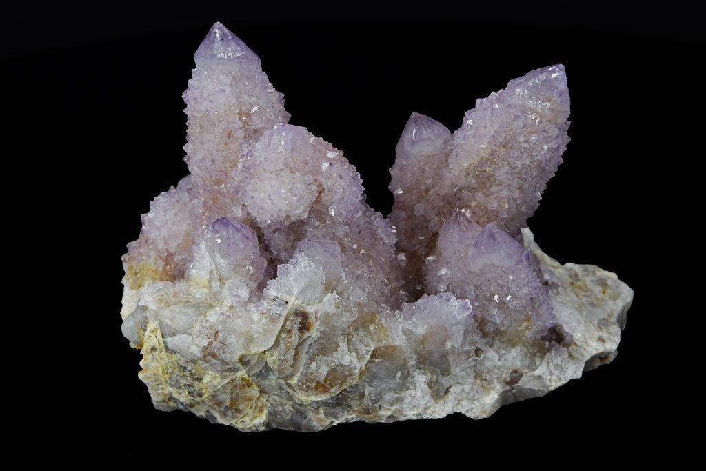 Améthyste Cactus - Afrique du Sud (Cabinet; 11.5 x 8 x 5.5 cm; 439 g)