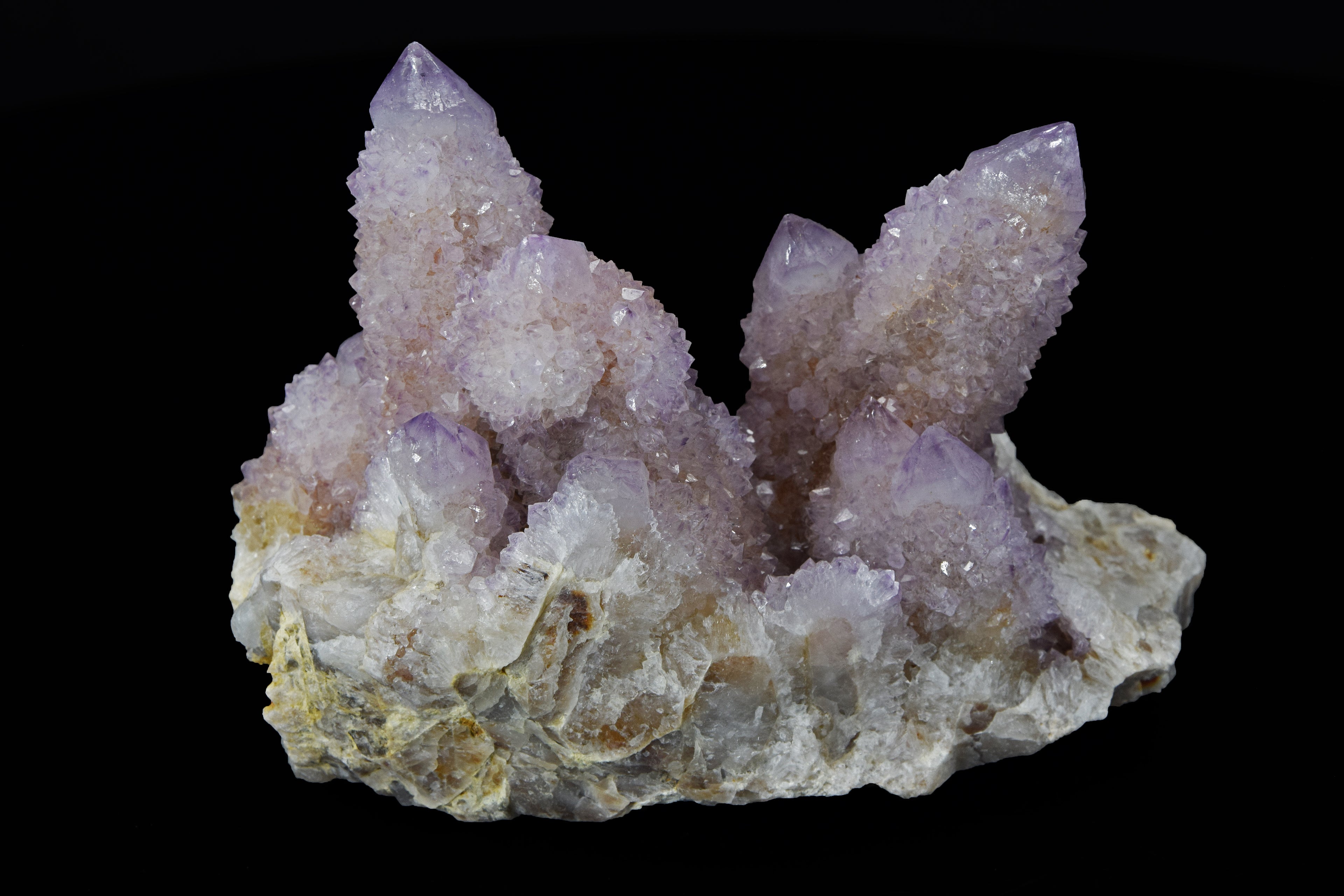 Améthyste Cactus - Afrique du Sud (Cabinet; 11.5 x 8 x 5.5 cm; 439 g)