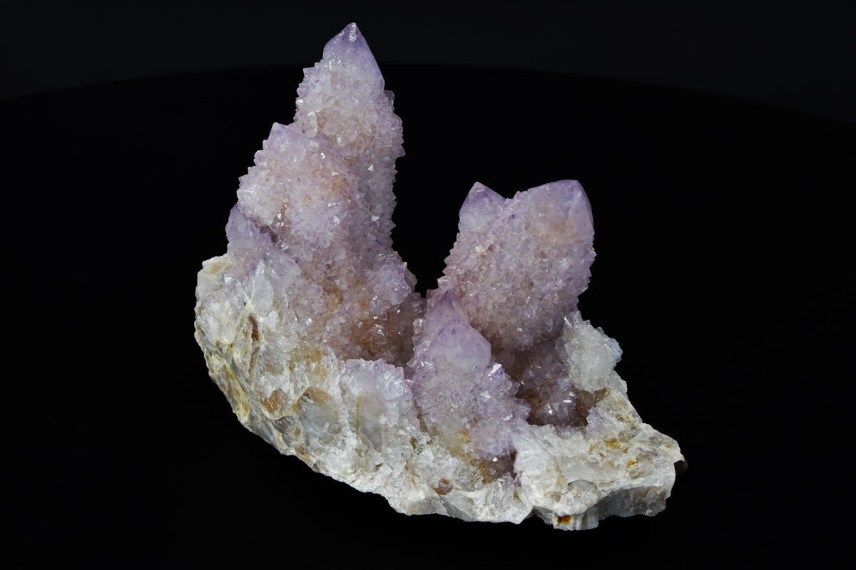 Améthyste Cactus - Afrique du Sud (Cabinet; 11.5 x 8 x 5.5 cm; 439 g)