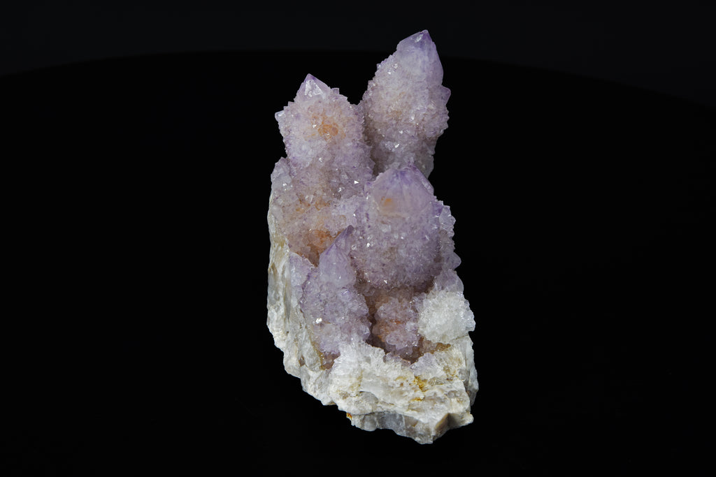 Améthyste Cactus - Afrique du Sud (Cabinet; 11.5 x 8 x 5.5 cm; 439 g)