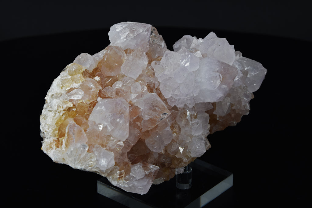 Quartz Cactus - Afrique du Sud (Cabinet; 14 x 8 x 6 cm; 584 g)
