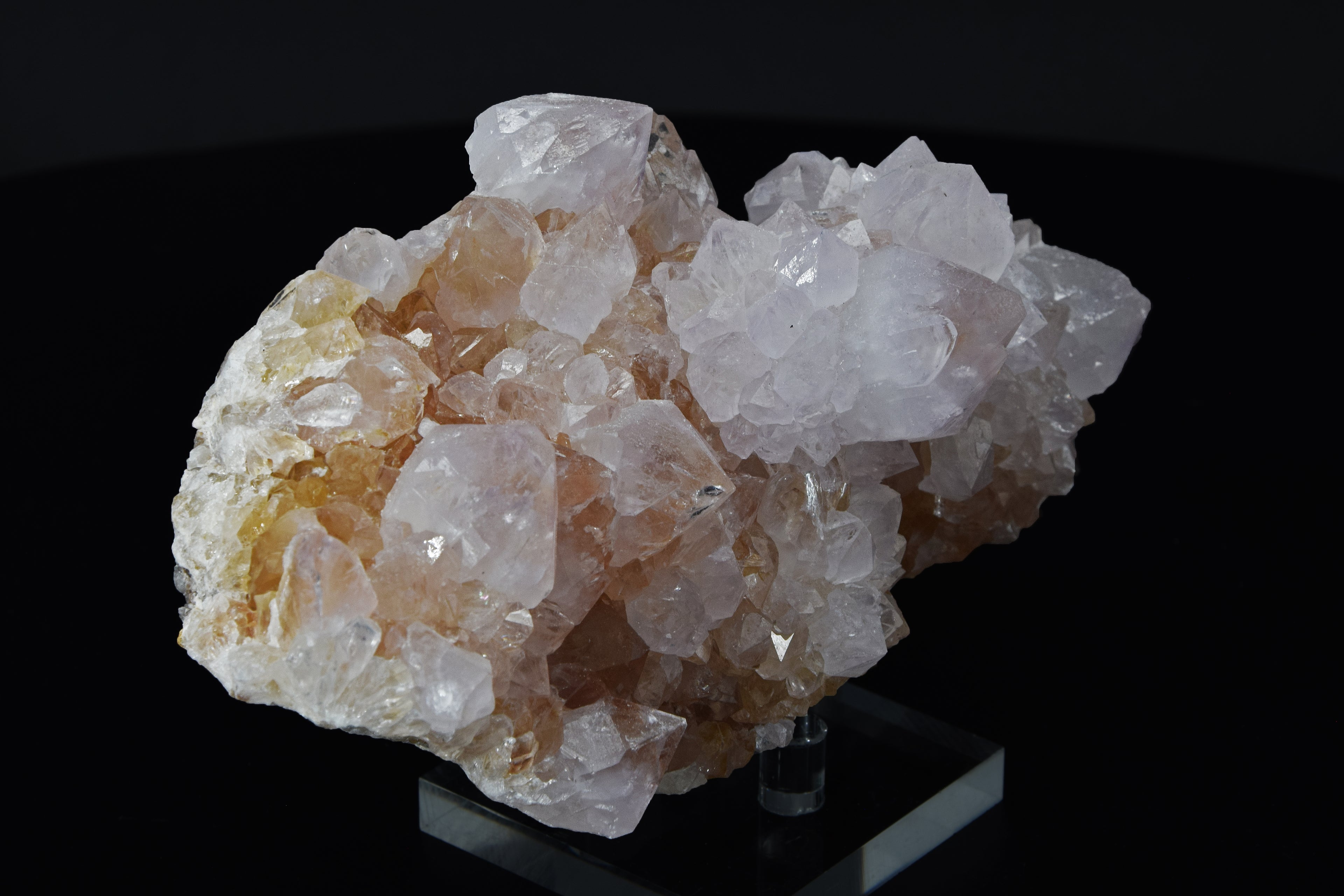 Quartz Cactus - Afrique du Sud (Cabinet; 14 x 8 x 6 cm; 584 g)