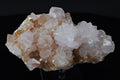 Quartz Cactus - Afrique du Sud (Cabinet; 14 x 8 x 6 cm; 584 g)