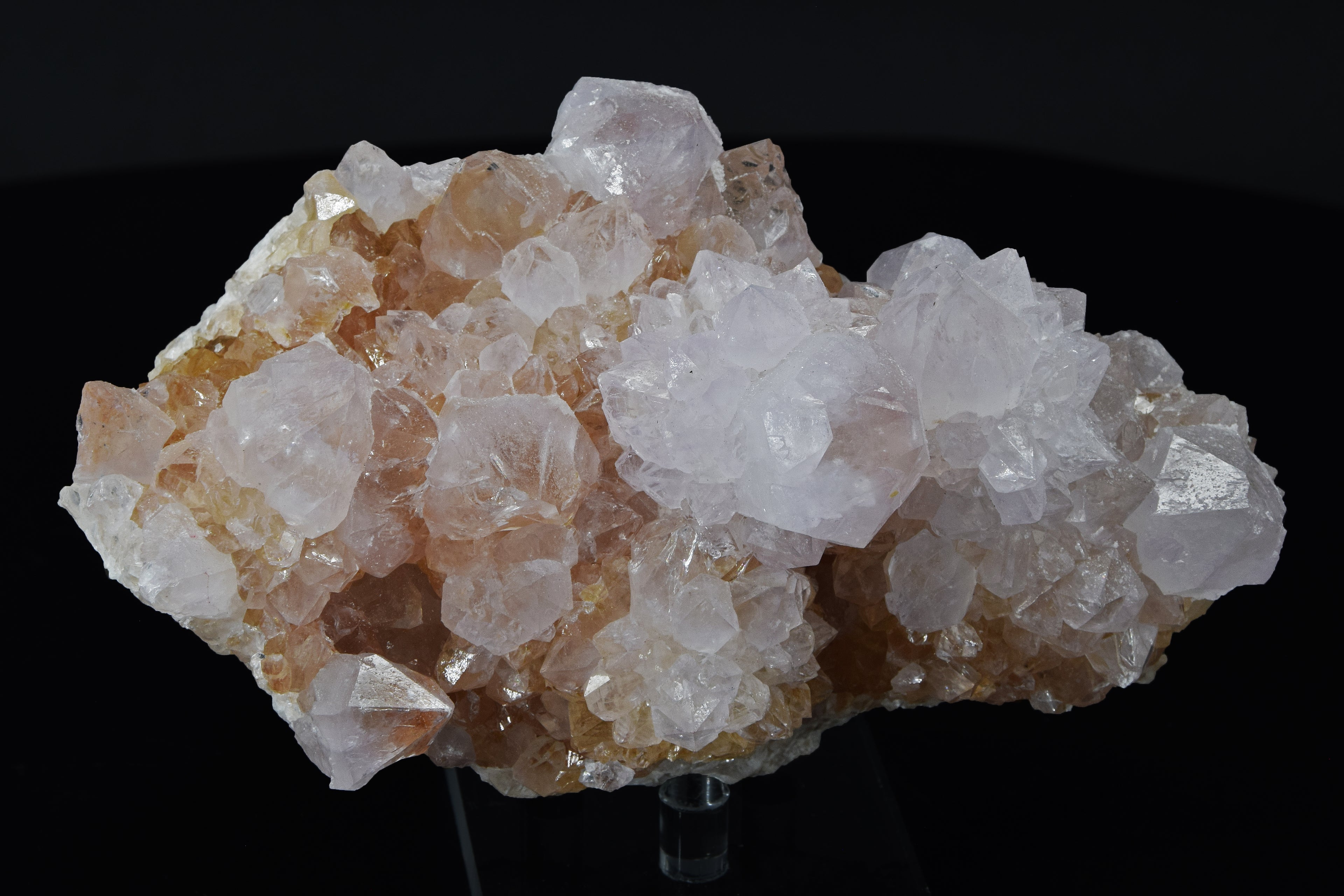 Quartz Cactus - Afrique du Sud (Cabinet; 14 x 8 x 6 cm; 584 g)