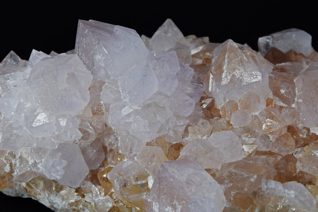 Quartz Cactus - Afrique du Sud (Cabinet; 14 x 8 x 6 cm; 584 g)