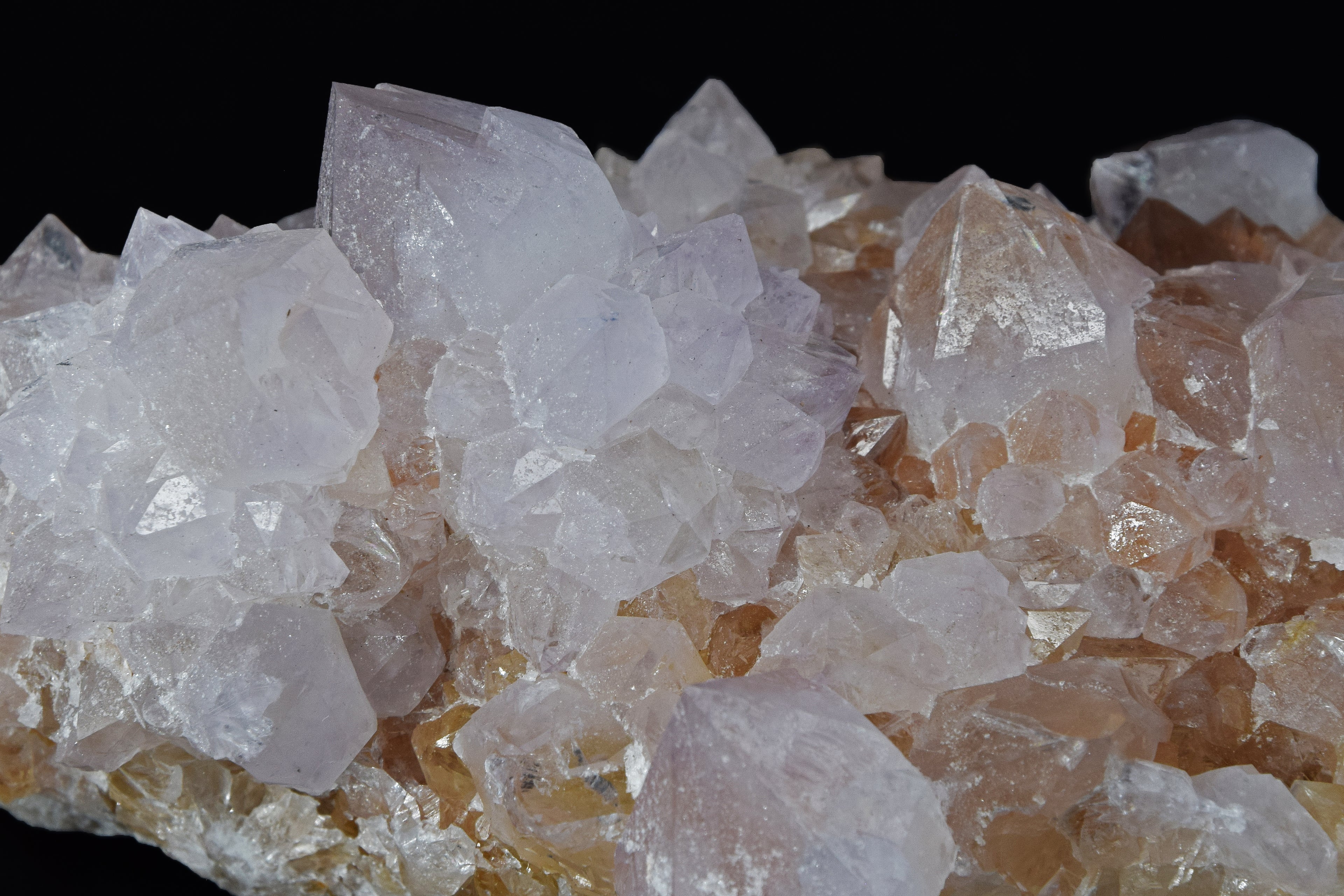 Quartz Cactus - Afrique du Sud (Cabinet; 14 x 8 x 6 cm; 584 g)