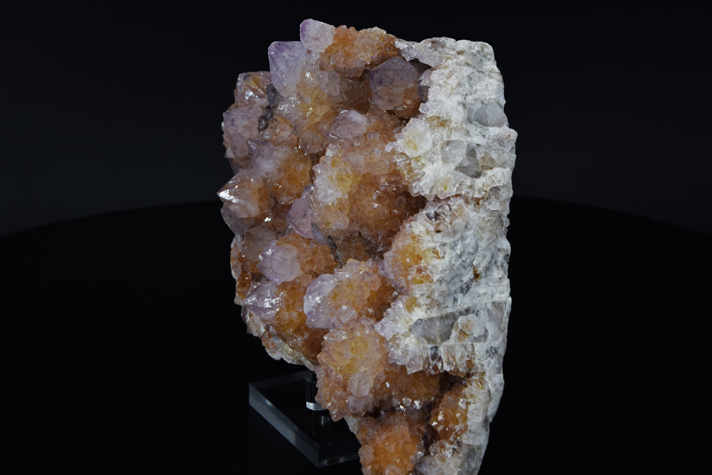 Améthyste Cactus - Afrique du Sud (Large Cabinet; 17.5 x 12.5 x 5.5 cm; 1099 g)