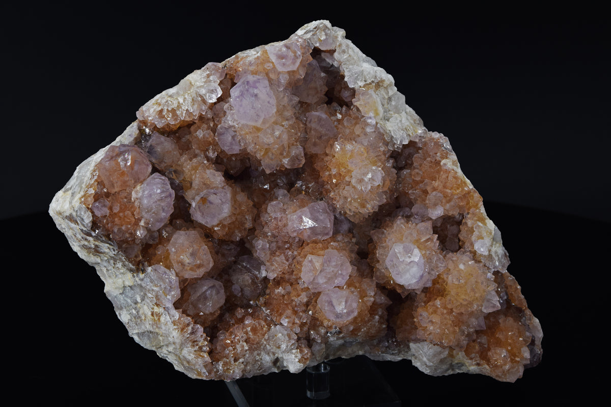 Améthyste Cactus - Afrique du Sud (Large Cabinet; 17.5 x 12.5 x 5.5 cm; 1099 g)