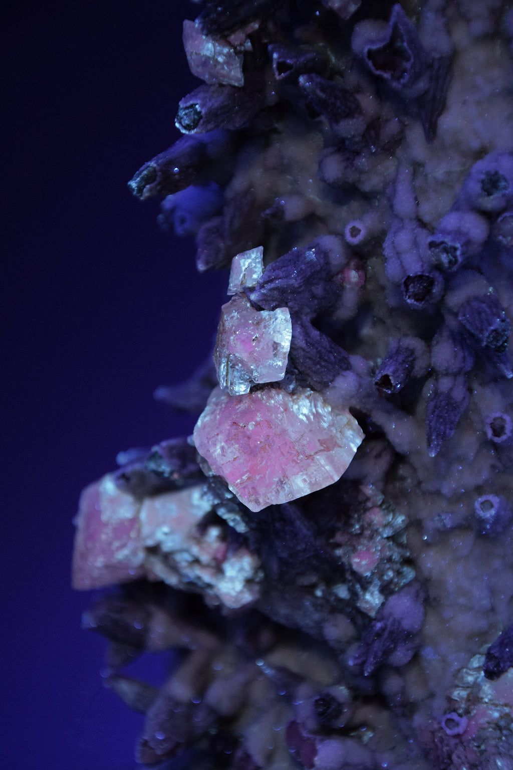 Calcite (UV) & Quartz sur pseudomorphes de calcite - Lesotho (Very Large Cabinet; 30 x 15.5 x 8.5 cm; 2724 g)