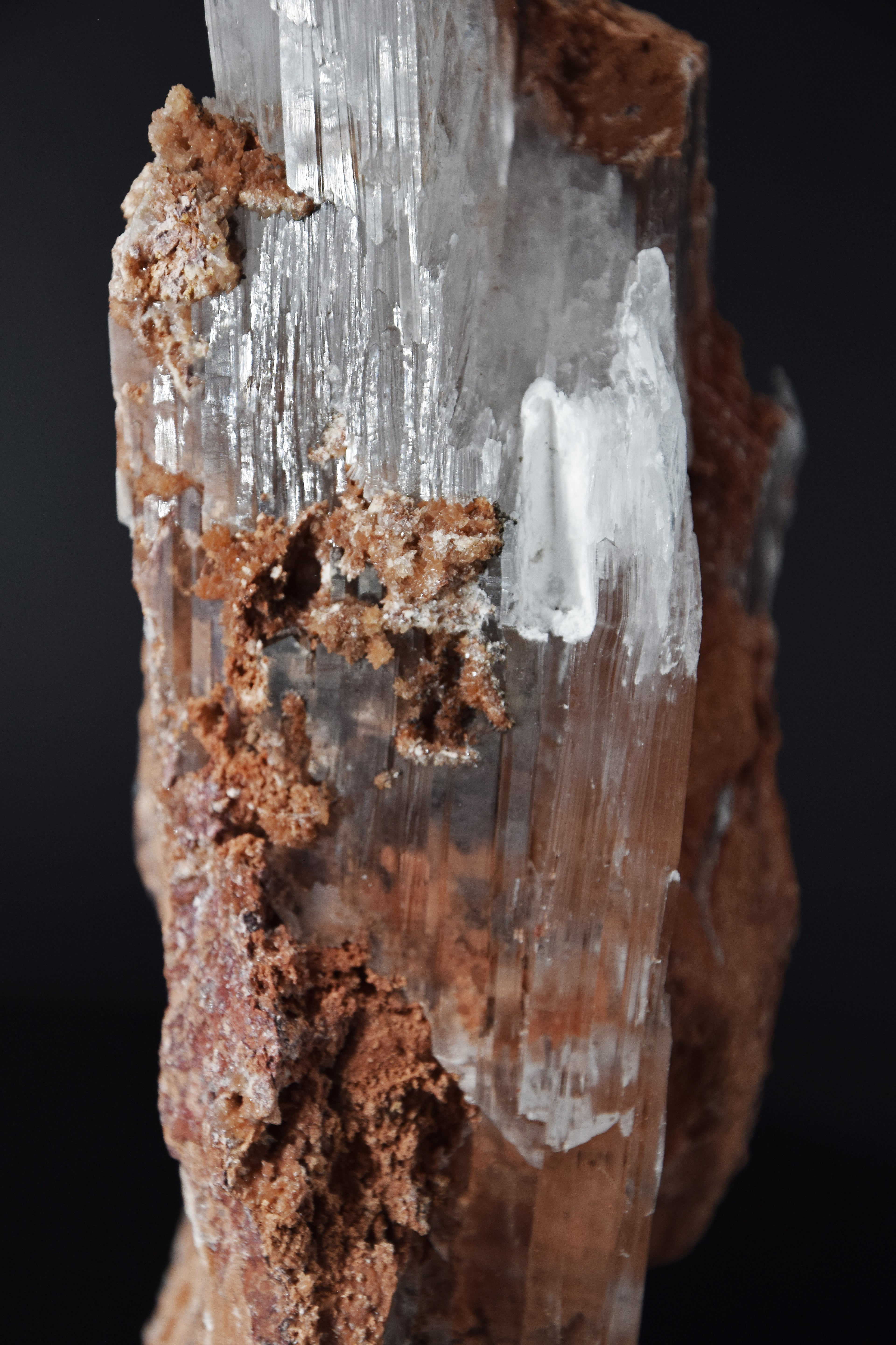Selenite - Bermejillo, Mexique (Very Large Cabinet; 30 x 12 x 8 cm; 1832 g)