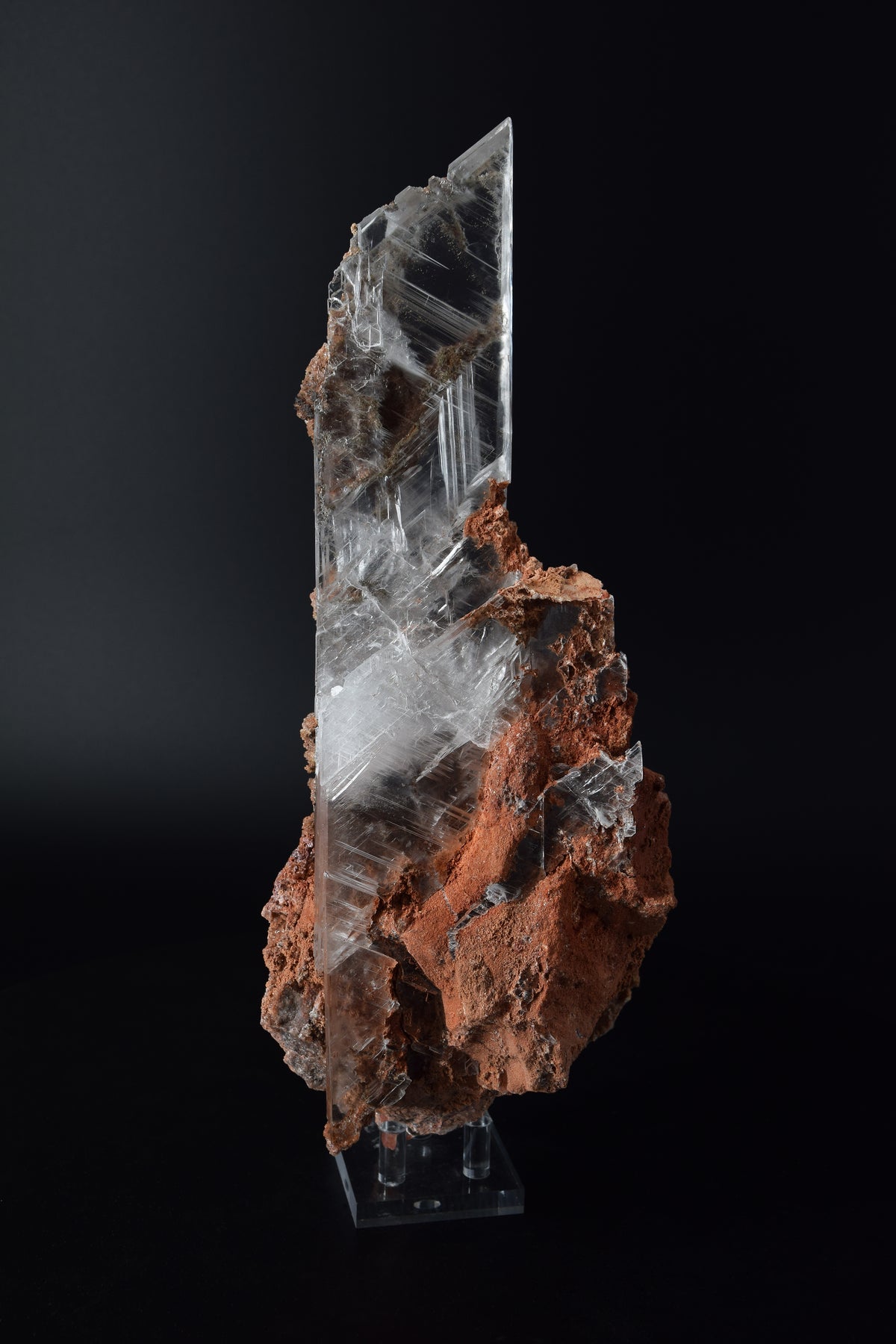 Selenite - Bermejillo, Mexique (Very Large Cabinet; 30 x 12 x 8 cm; 1832 g)