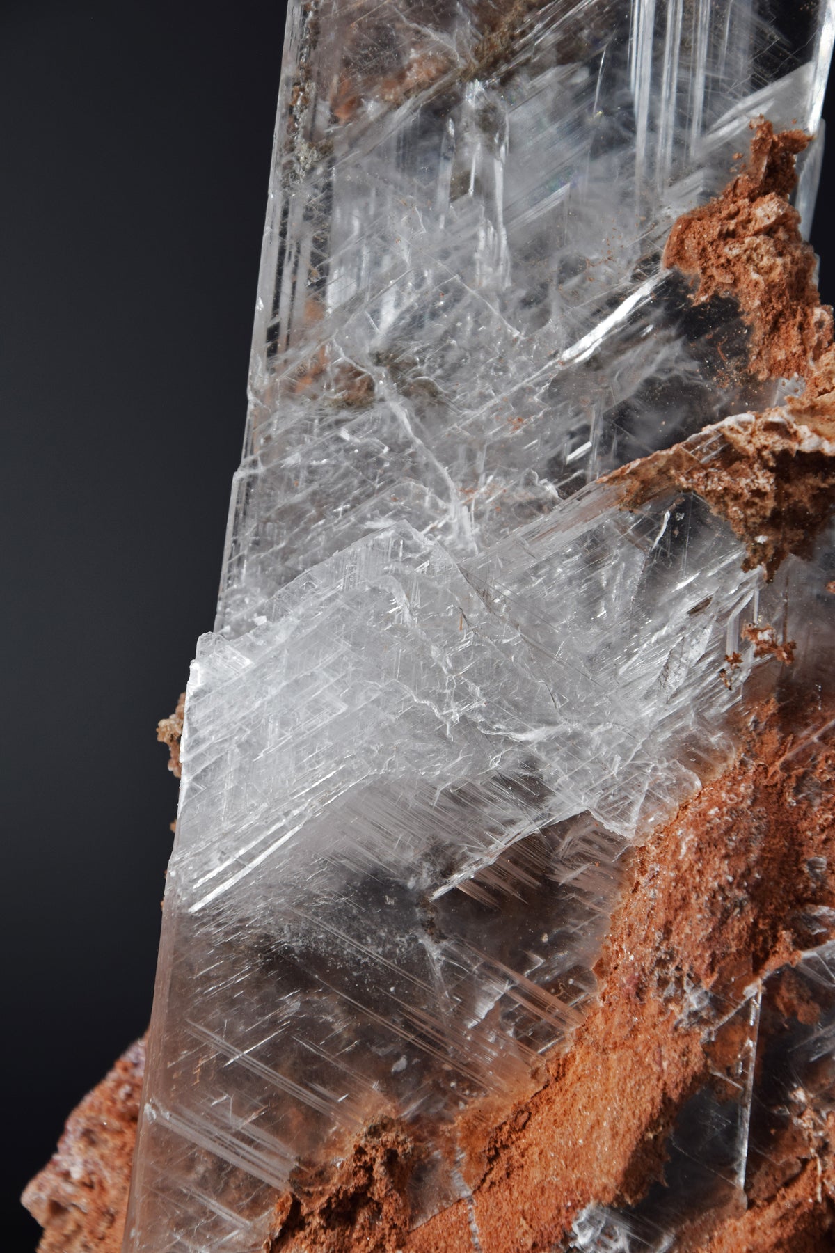 Selenite - Bermejillo, Mexique (Very Large Cabinet; 30 x 12 x 8 cm; 1832 g)