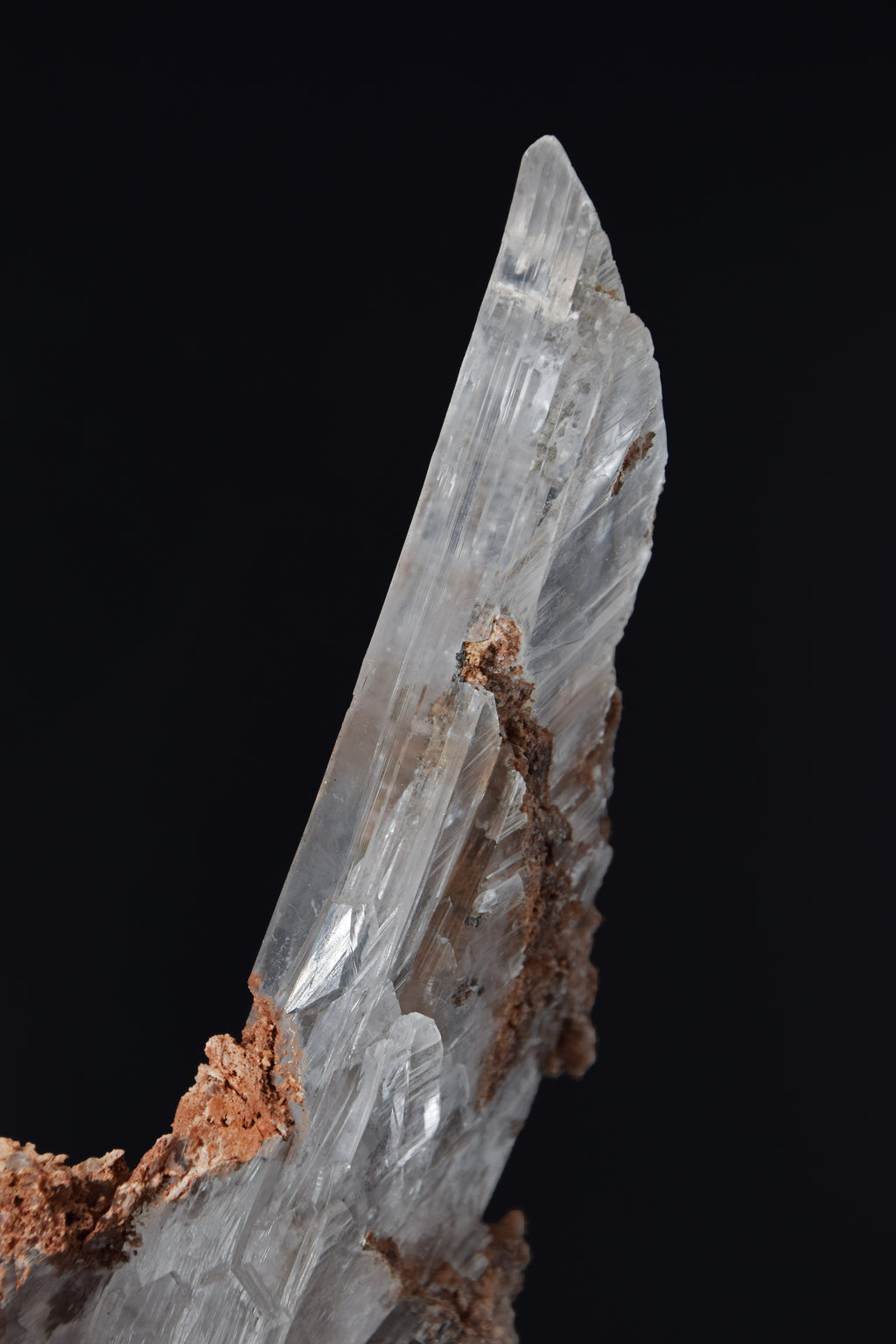 Selenite - Bermejillo, Mexique (Very Large Cabinet; 30 x 12 x 8 cm; 1832 g)