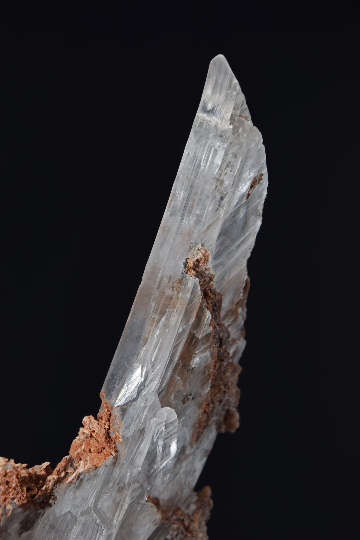 Selenite - Bermejillo, Mexique (Very Large Cabinet; 30 x 12 x 8 cm; 1832 g)