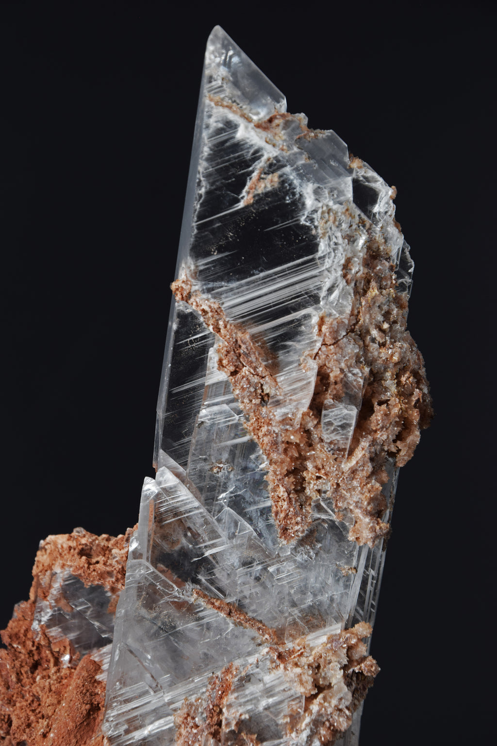 Selenite - Bermejillo, Mexique (Very Large Cabinet; 30 x 12 x 8 cm; 1832 g)