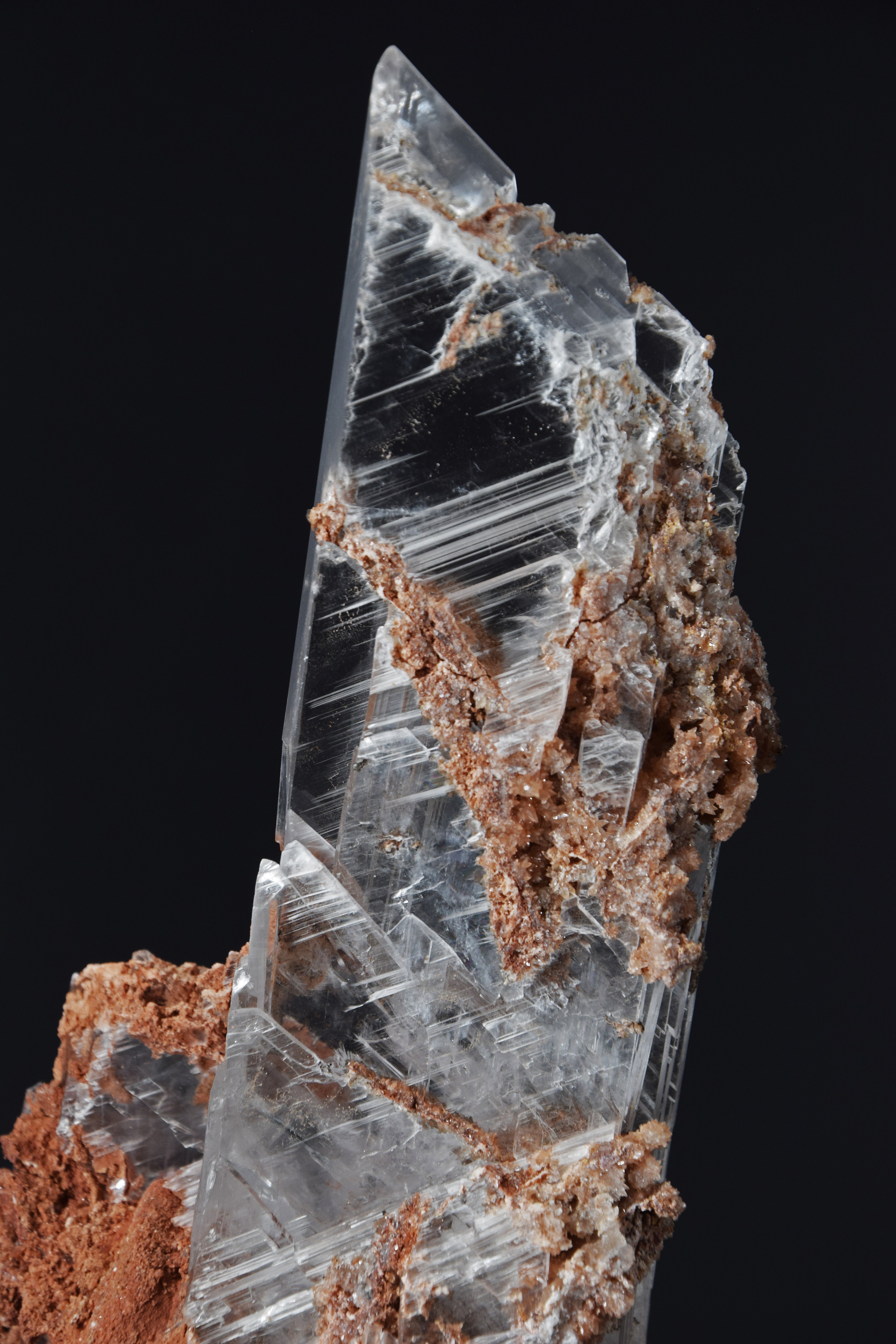 Selenite - Bermejillo, Mexique (Very Large Cabinet; 30 x 12 x 8 cm; 1832 g)