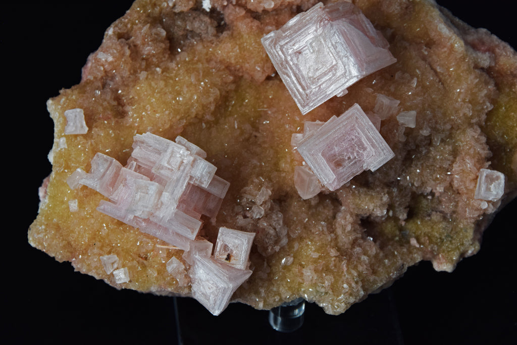 Halite - USA (Cabinet; 12 x 9 x 4 cm; 146 g)
