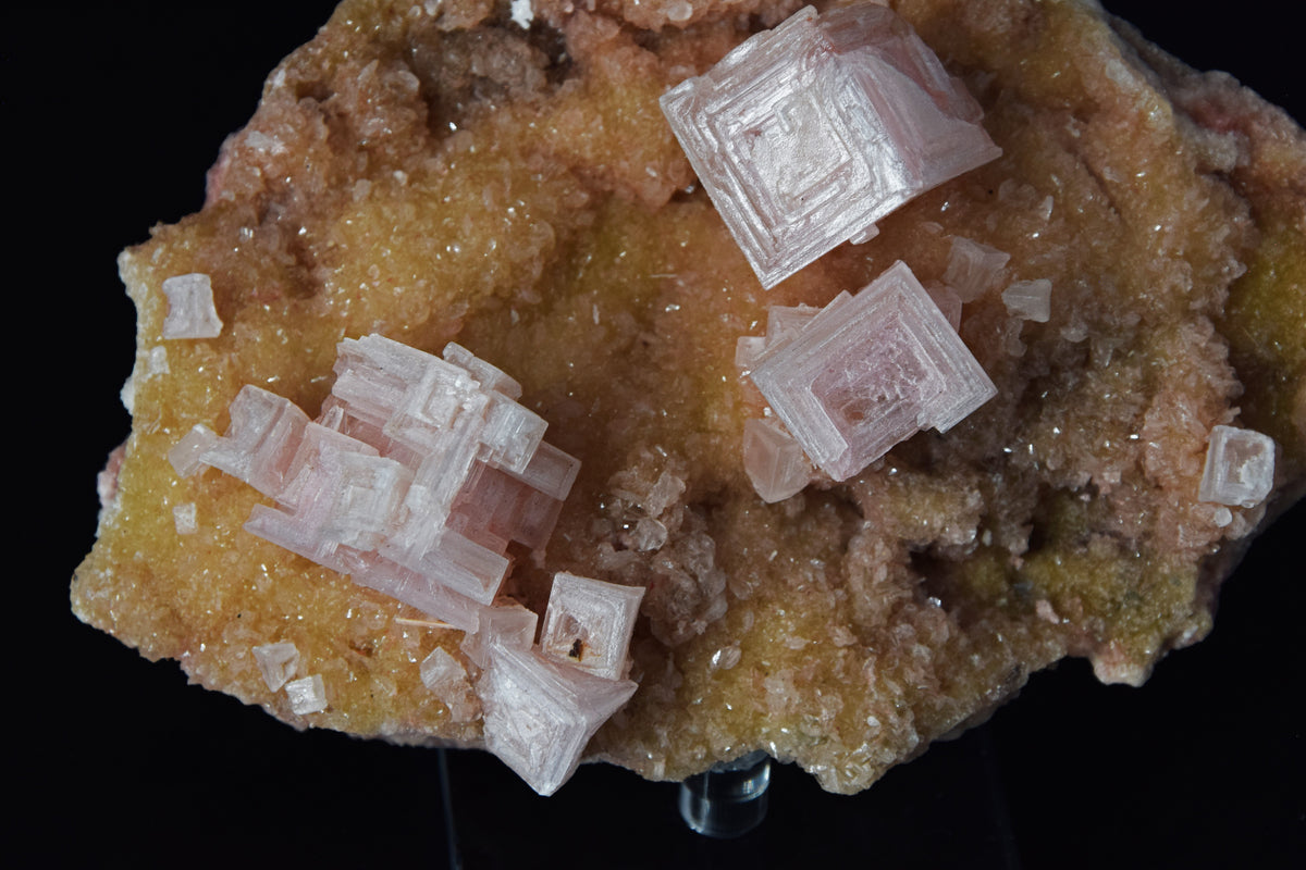 Halite - USA (Cabinet; 12 x 9 x 4 cm; 146 g)