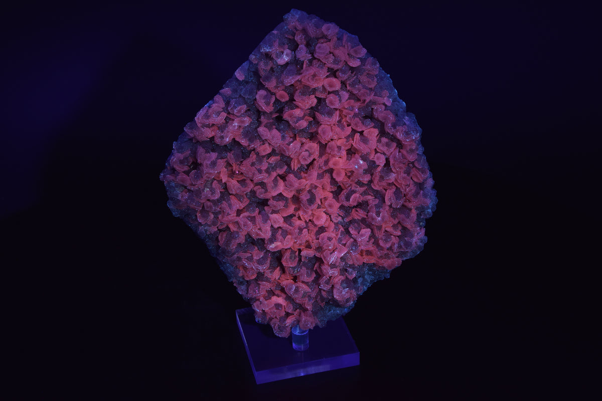 Calcite (UV) sur Quartz - Chine (Large Cabinet; 15 x 13 x 4 cm; 817 g)