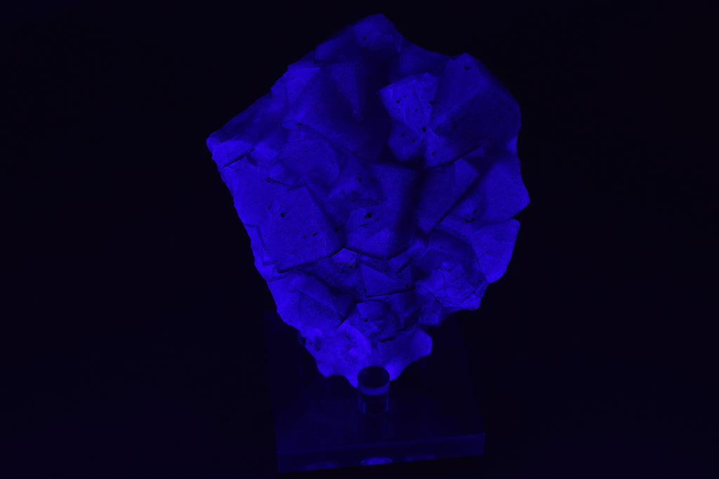 Fluorite (UV) & Pyrite - Nigeria (Small Cabinet; 9 x 8 x 3 cm; 239 g)