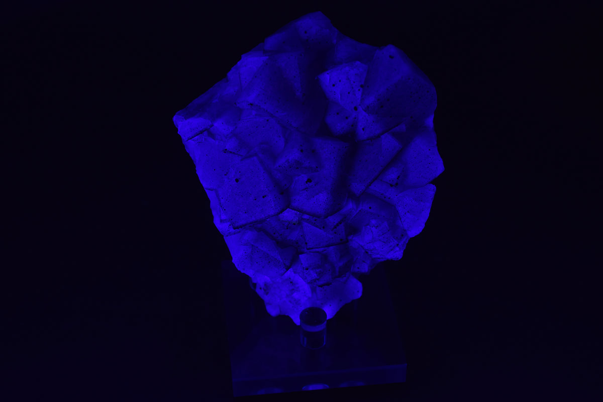 Fluorite (UV) & Pyrite - Nigeria (Small Cabinet; 9 x 8 x 3 cm; 239 g)