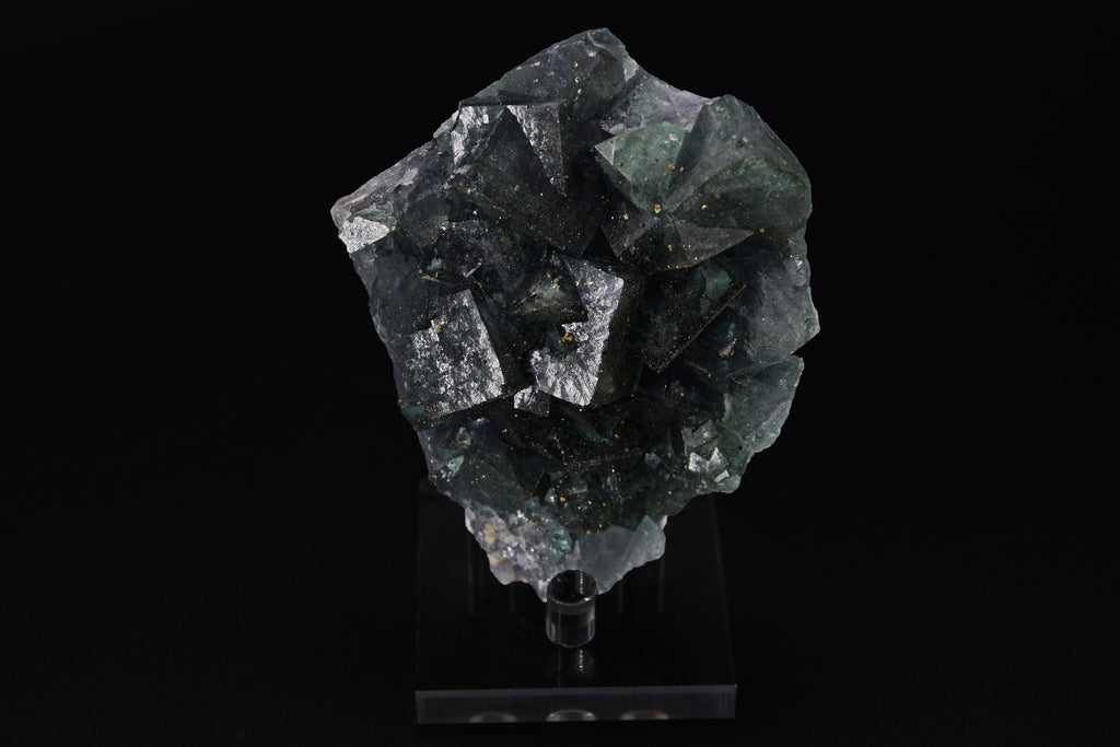 Fluorite (UV) & Pyrite - Nigeria (Small Cabinet; 9 x 8 x 3 cm; 239 g)