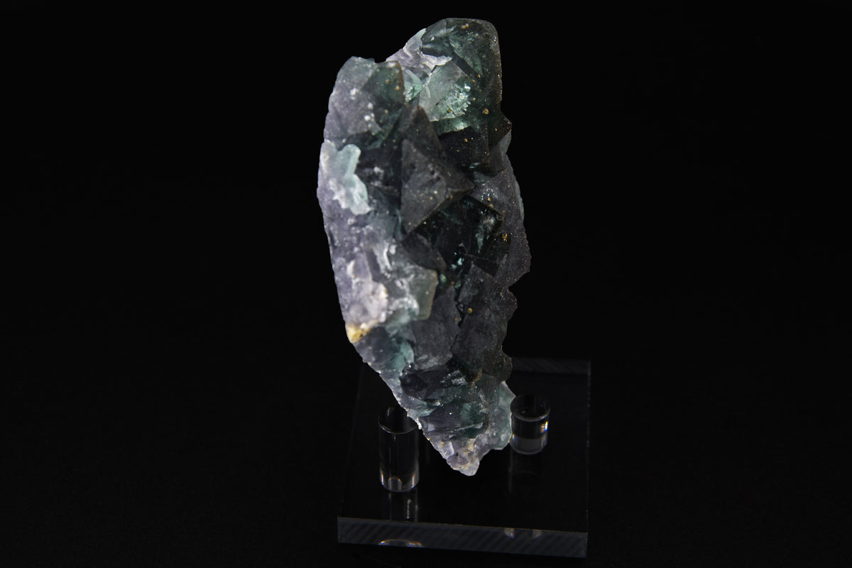 Fluorite (UV) & Pyrite - Nigeria (Small Cabinet; 9 x 8 x 3 cm; 239 g)